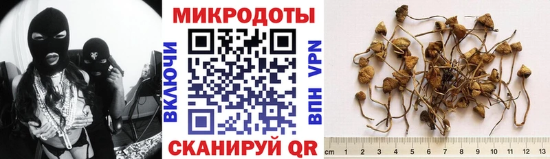 хочу   мориарти наркотические препараты  Псилоцибиновые грибы прущие грибы  Шуя 